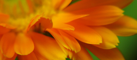 Surrey Hypnotherapy, Helen Tang, RPC, MPCP, CHt, CMA