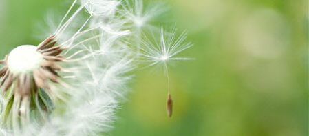 Surrey Hypnotherapy, Helen Tang, RPC, MPCP, CHt, CMA